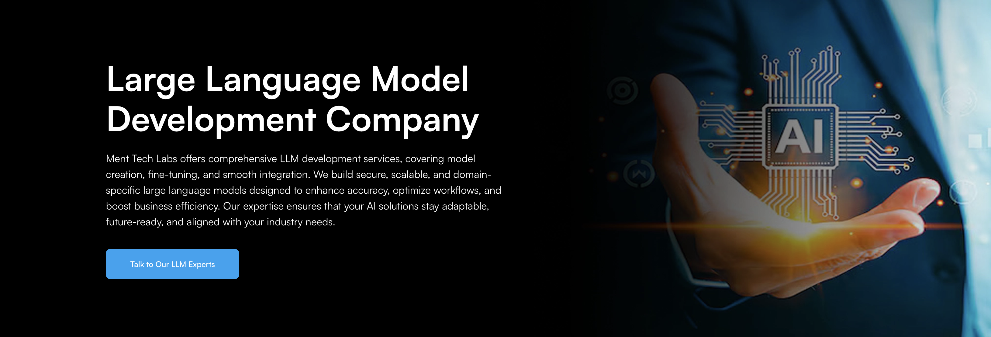 Large Language Model Development Company